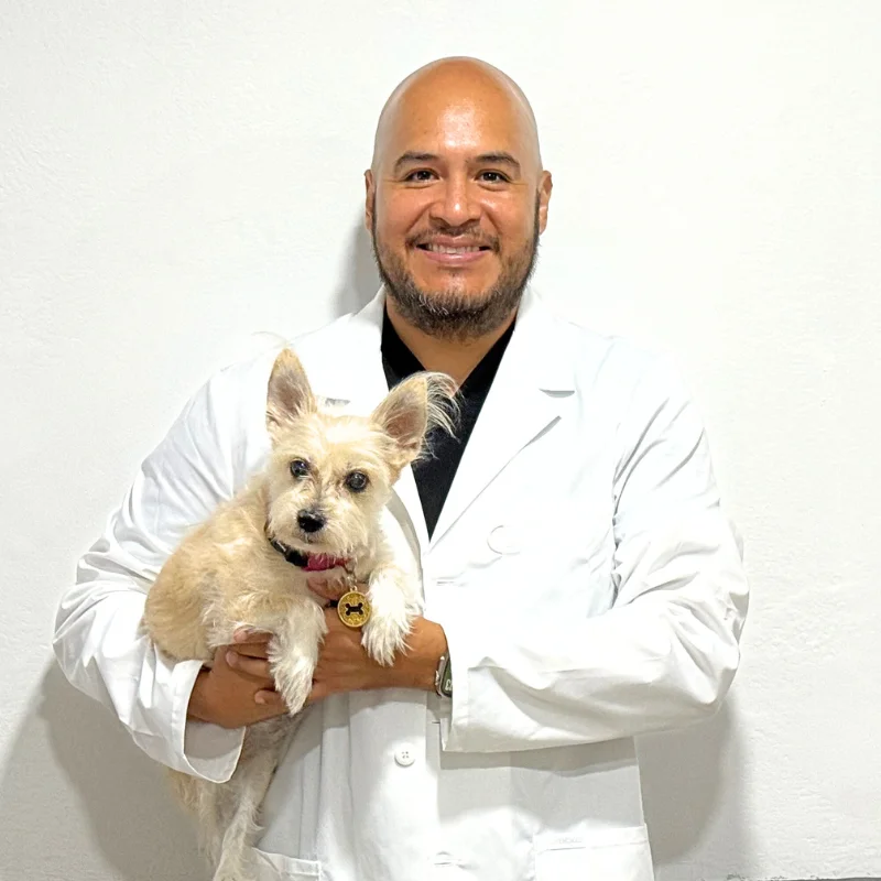 Dr. Guillermo Calvo