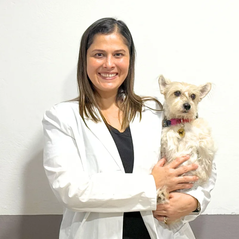 Dra. Carolina Quiros